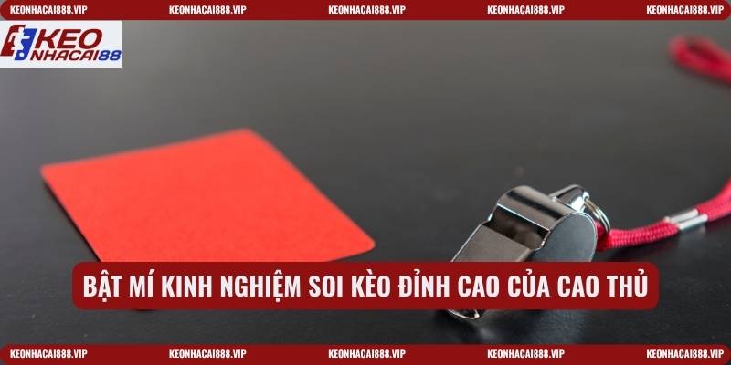 Bật mí kinh nghiệm soi kèo đỉnh cao của cao thủ