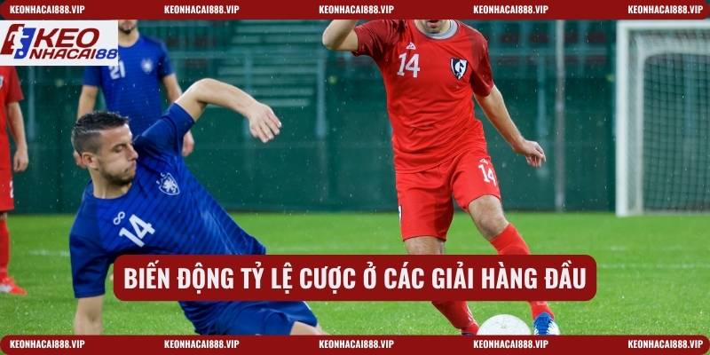 Biến động tỷ lệ cược ở các giải hàng đầu