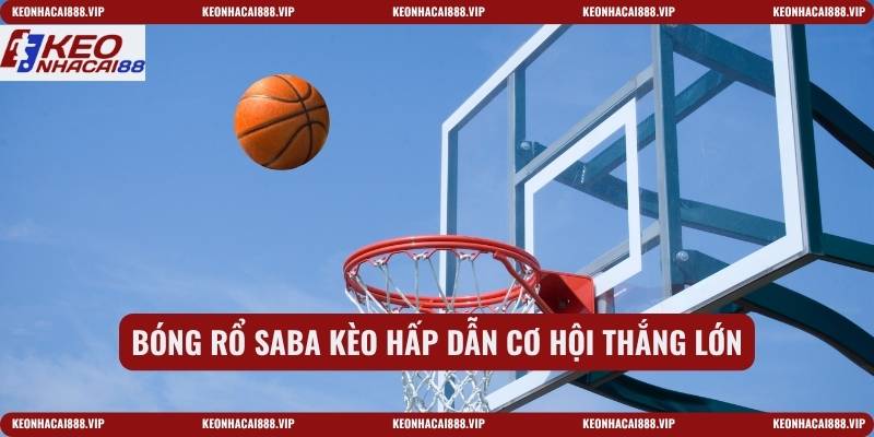 Bóng rổ saba kèo hấp dẫn cơ hội thắng lớn