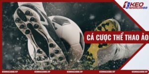 Cá Cược Thể Thao Ảo
