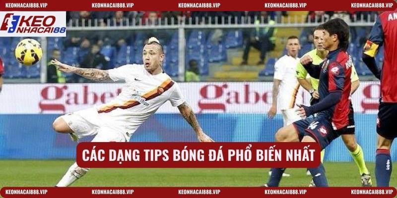 Các dạng tips bóng đá phổ biến nhất