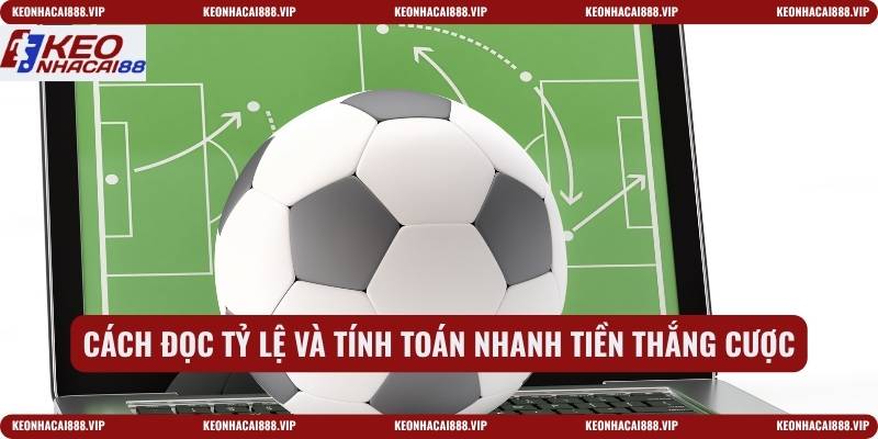 Cách đọc tỷ lệ và tính toán nhanh tiền thắng cược