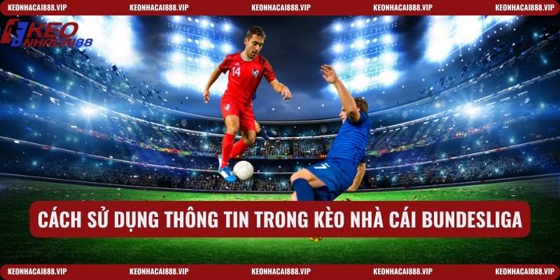 Cách sử dụng thông tin trong kèo nhà cái Bundesliga
