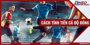 Cách Tính Tiền Cá Độ Bóng Đá