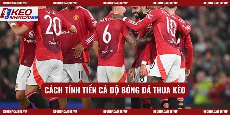 Cách tính tiền cá độ bóng đá thua kèo