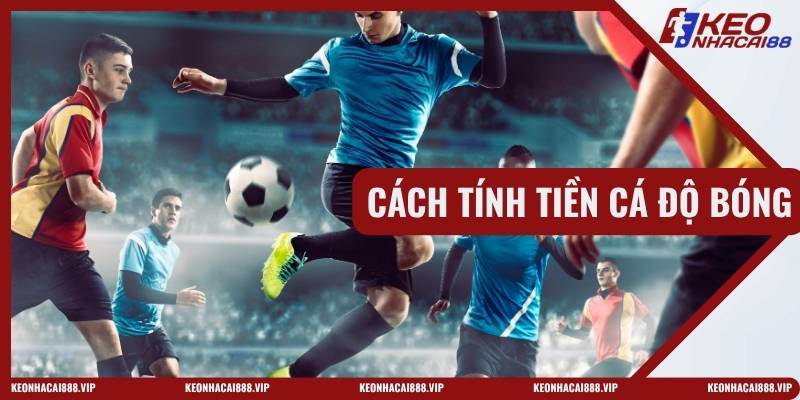 Cách Tính Tiền Cá Độ Bóng Đá