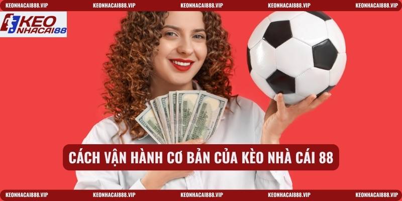 Cách vận hành cơ bản của kèo nhà cái 88
