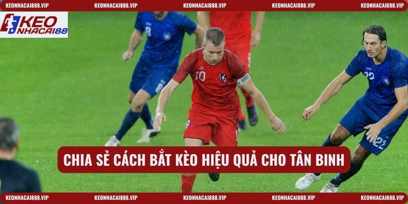Chia sẻ cách bắt kèo hiệu quả cho tân binh