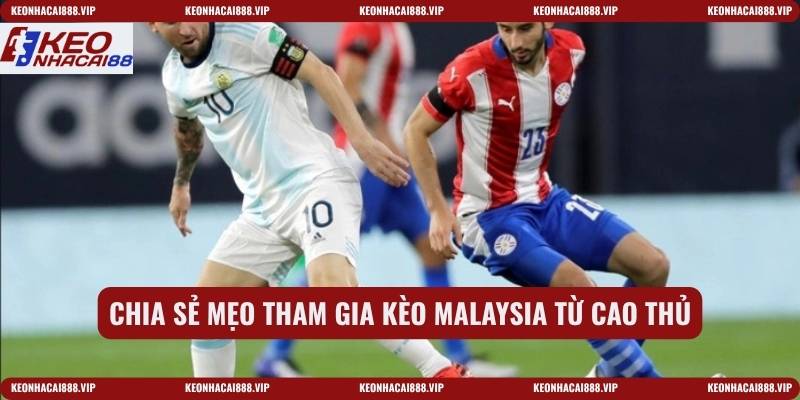 Chia sẻ mẹo tham gia kèo Malaysia từ cao thủ