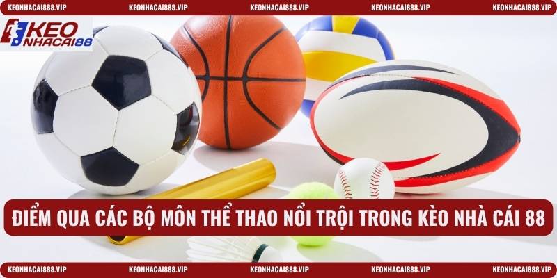 Điểm qua các bộ môn thể thao nổi trội trong kèo nhà cái 88