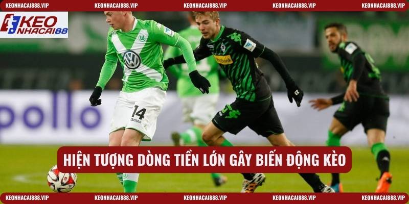 Hiện tượng dòng tiền lớn gây biến động kèo