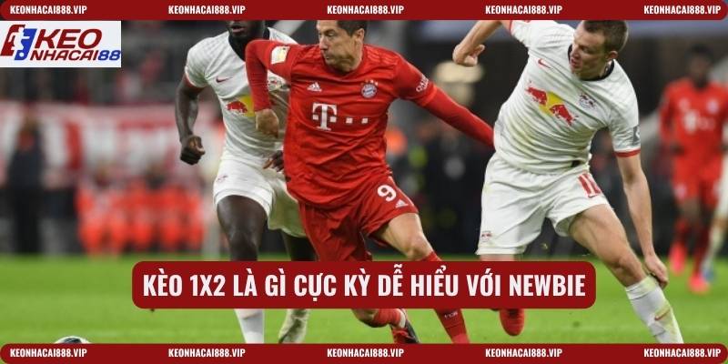 Kèo 1x2 là gì cực kỳ dễ hiểu với newbie