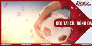 Kèo Tài Xỉu Bóng Đá