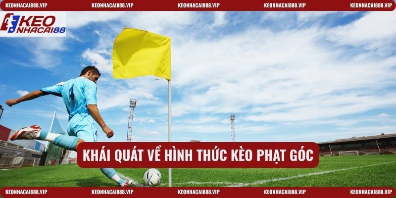 Khái quát về hình thức kèo phạt góc