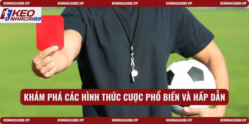 Khám phá các hình thức cược phổ biến và hấp dẫn