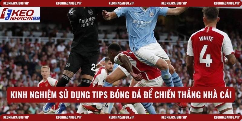 Kinh nghiệm sử dụng Tips bóng đá để chiến thắng nhà cái