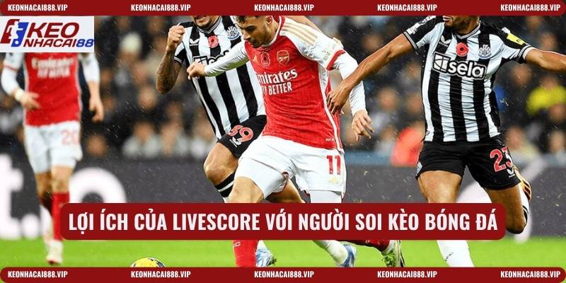 Lợi ích của Livescore với người soi kèo bóng đá