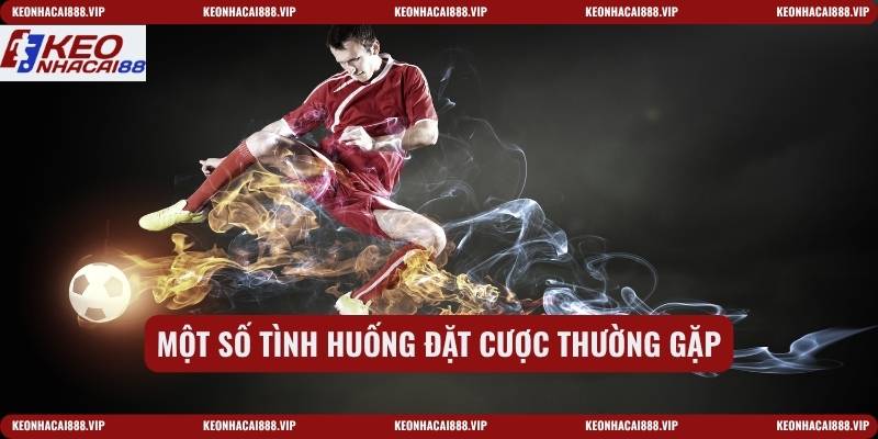 Một số tình huống đặt cược thường gặp