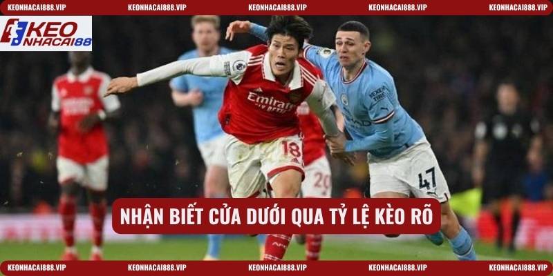 Nhận biết cửa dưới qua tỷ lệ kèo rõ