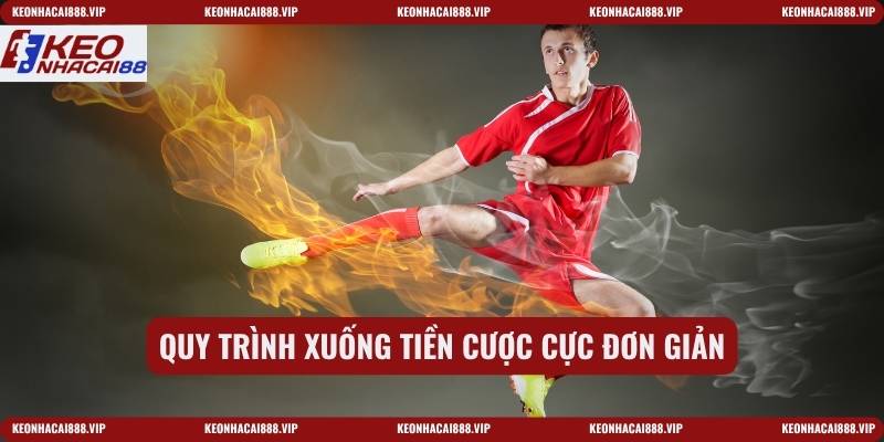 Quy trình xuống tiền cược cực đơn giản
