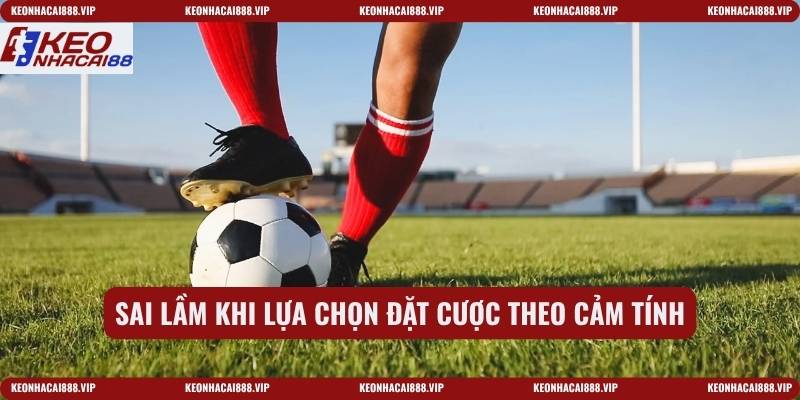 Sai lầm khi lựa chọn đặt cược theo cảm tính