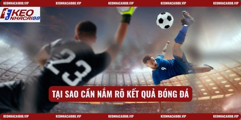 Tại sao cần nắm rõ kết quả bóng đá