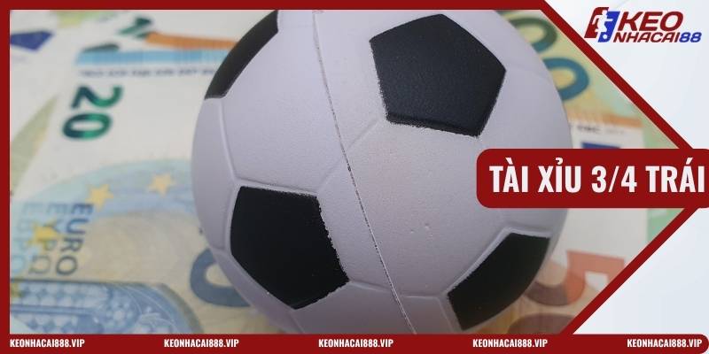 Bản Tin Tài Xỉu 3/4 Trái
