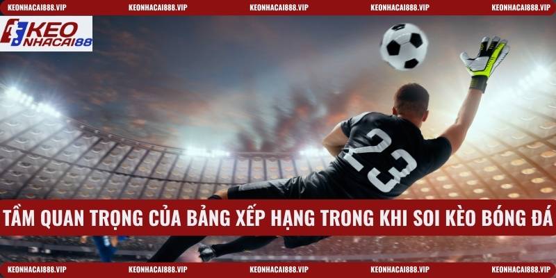 Tầm quan trọng của bảng xếp hạng trong khi soi kèo bóng đá
