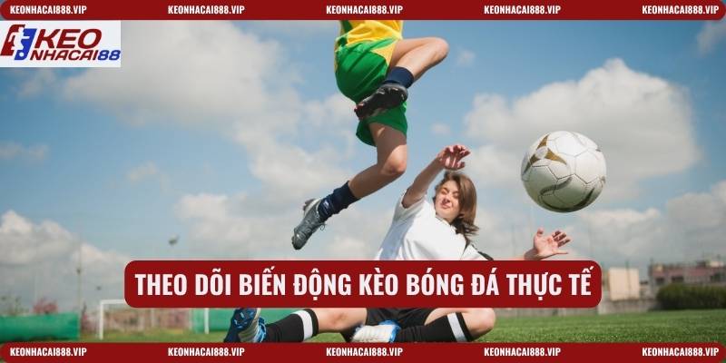 Theo dõi biến động kèo bóng đá thực tế