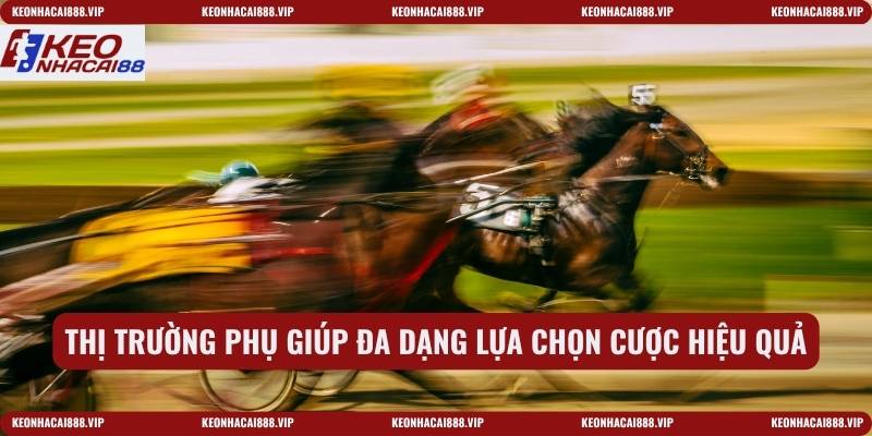 Thị trường phụ giúp đa dạng lựa chọn cược hiệu quả