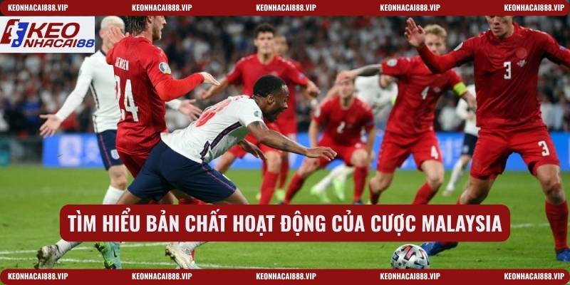 Tìm hiểu bản chất hoạt động của cược Malaysia