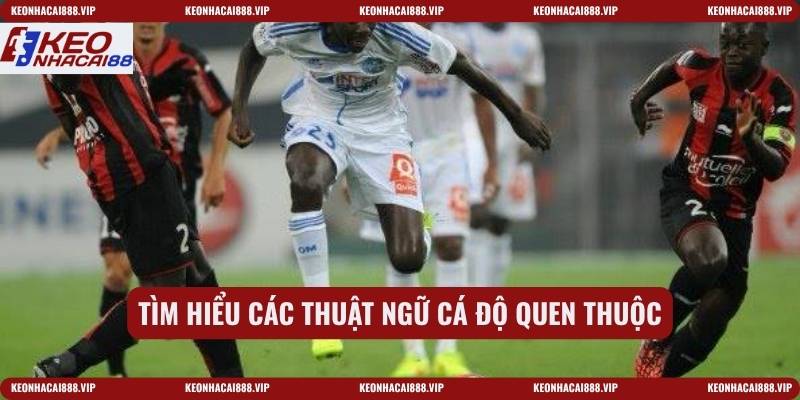 Tìm hiểu các thuật ngữ cá độ quen thuộc