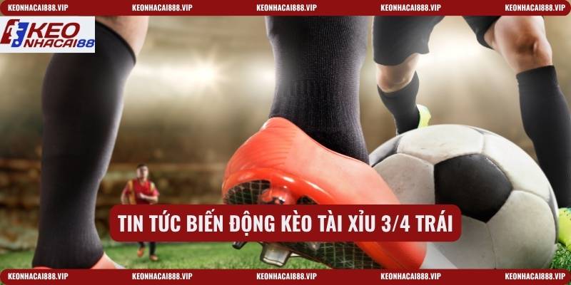 Tin tức biến động kèo tài xỉu 3/4 trái