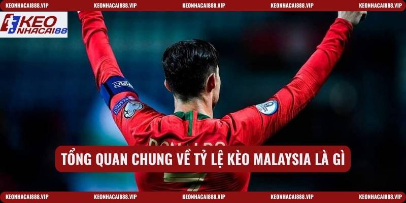Tổng quan chung về tỷ lệ kèo Malaysia là gì