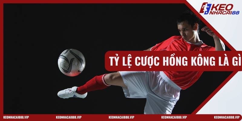 Tỷ Lệ Cược Hồng Kông Là Gì