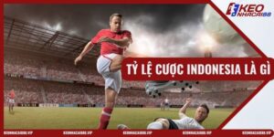 Tỷ Lệ Cược Indonesia Là Gì