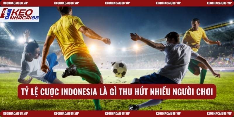Tỷ lệ cược Indonesia là gì thu hút nhiều người chơi