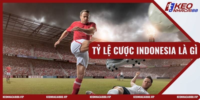 Tỷ Lệ Cược Indonesia Là Gì