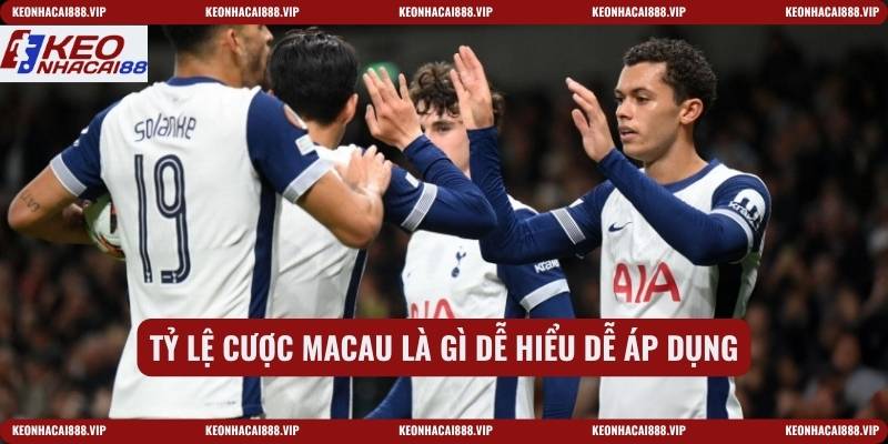 Tỷ lệ cược Macau là gì dễ hiểu dễ áp dụng