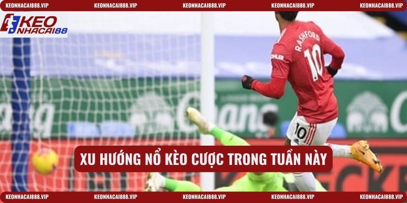 Xu hướng nổ kèo cược trong tuần này